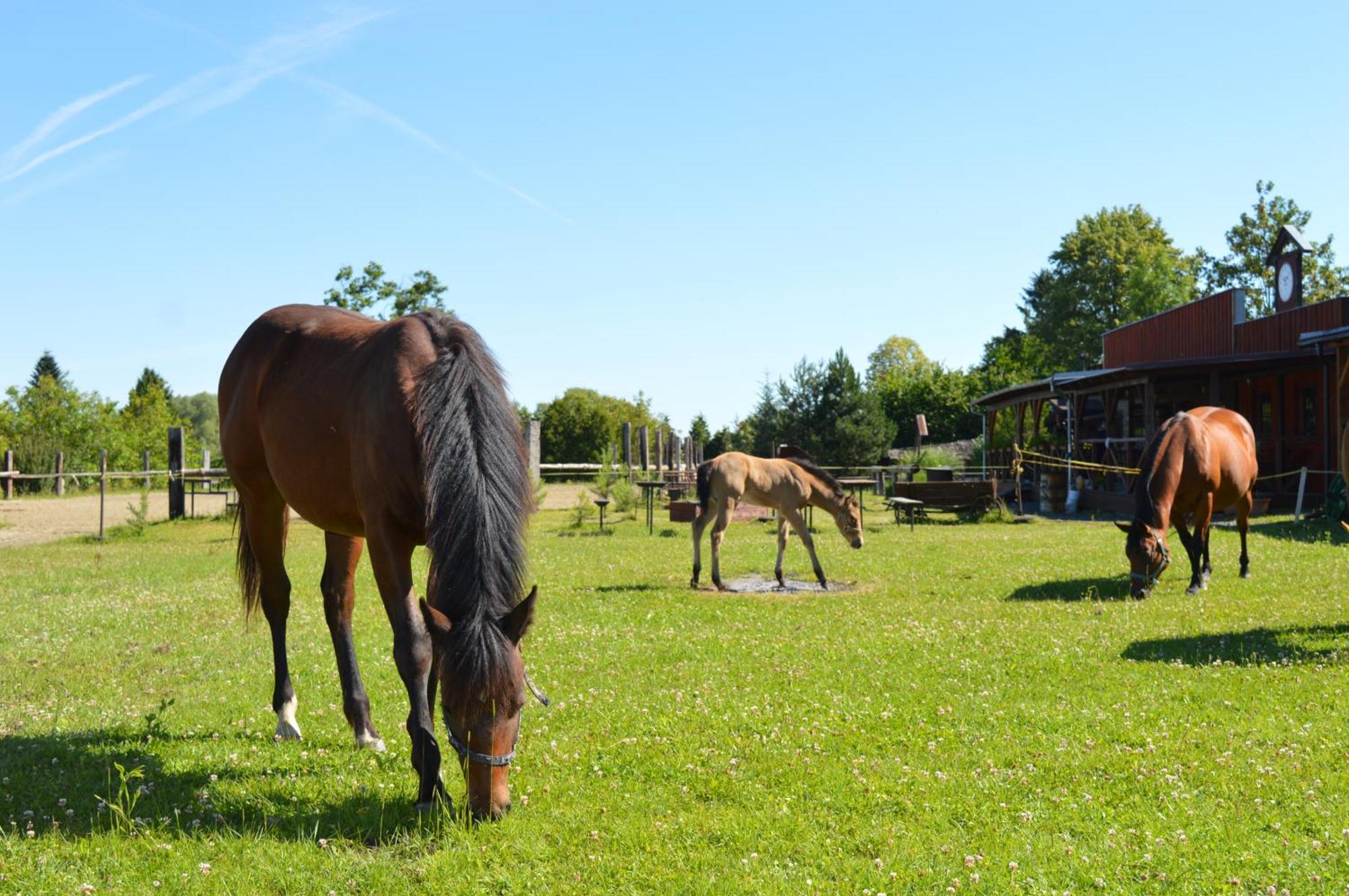 Bubla City Ranch Kopřivnice Eksteriør bilde